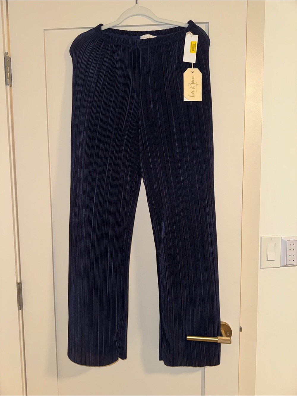 Women's Navy Pleated Wide-Leg Pants